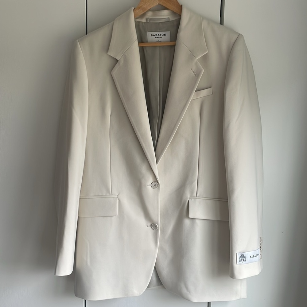 Babaton Aritzia Blazer